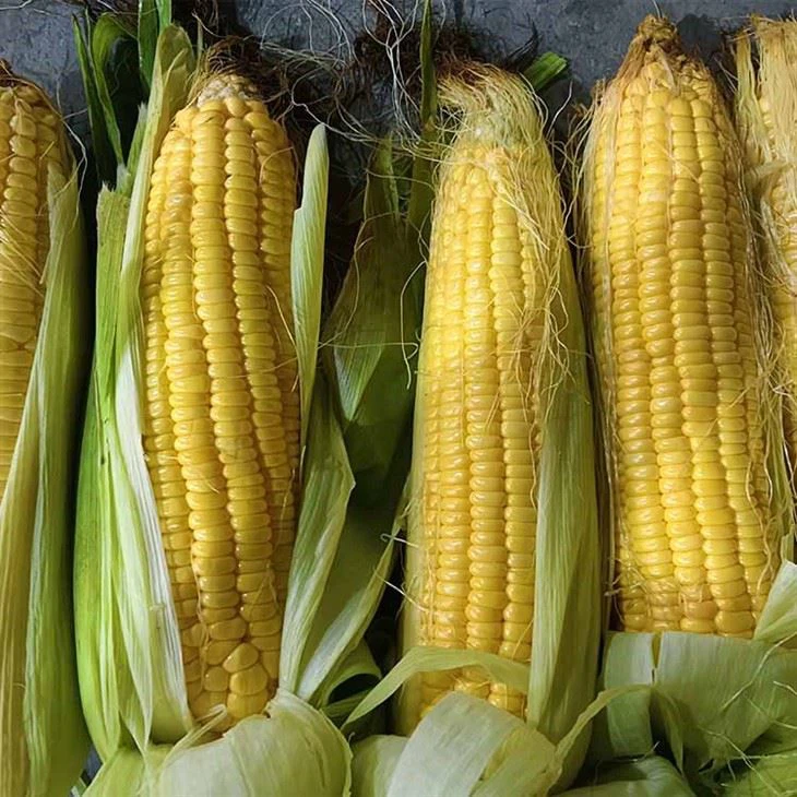 Frozen sweet corn