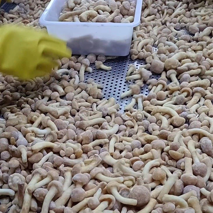 Freeze Nameko Mushrooms