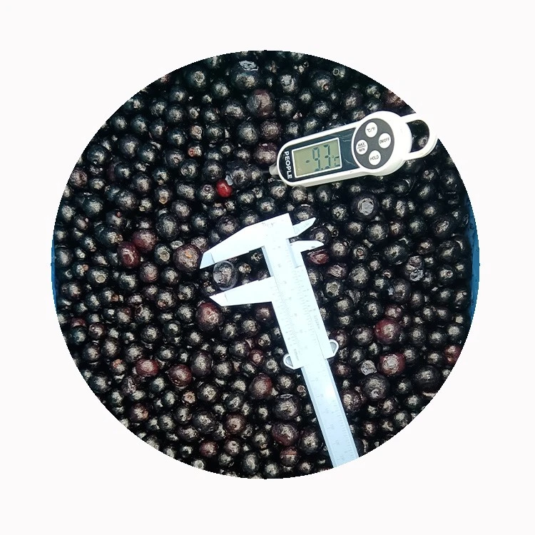 frozen blueberries for smoothies bakery and dairy applications