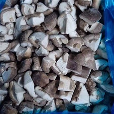 Tükeldatud Shiitake seened